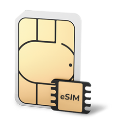 Logo SIMeSIM